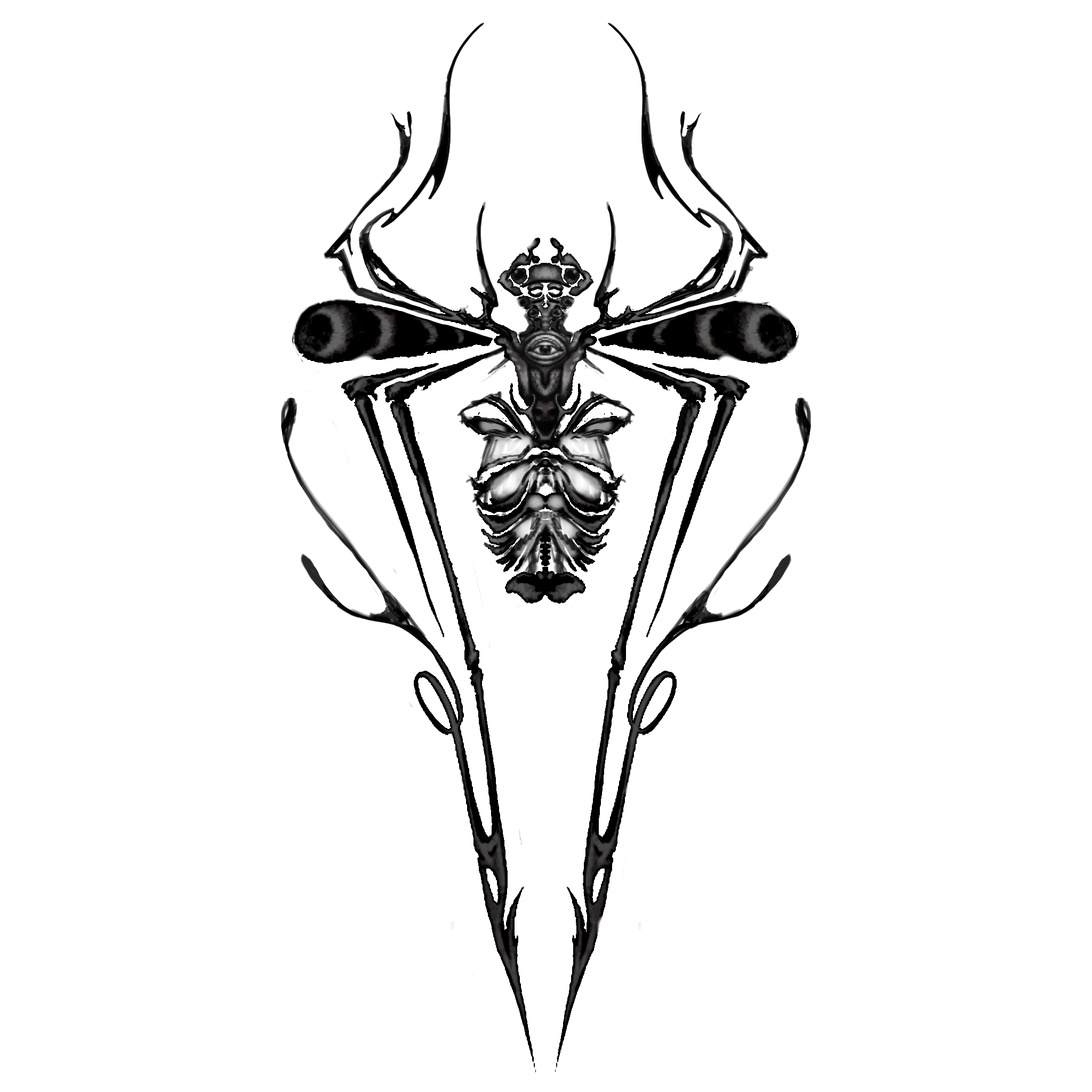 Horned Spider